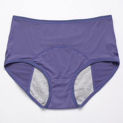 High Waist Leakproof Briefs