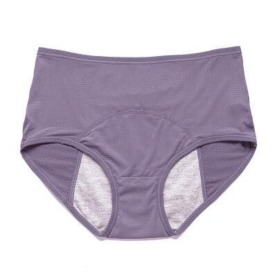 High Waist Leakproof Briefs